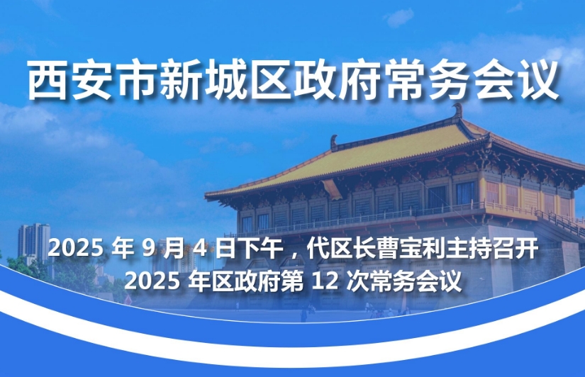 新城区政府召开2025年第12次常务会议图解