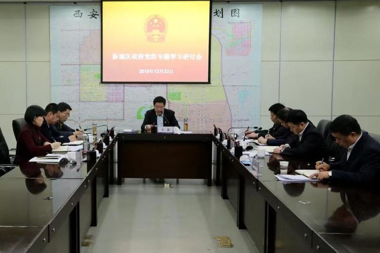 新城区政府党组召开“讲政治、敢担当、改作风”专题教育学习研讨会